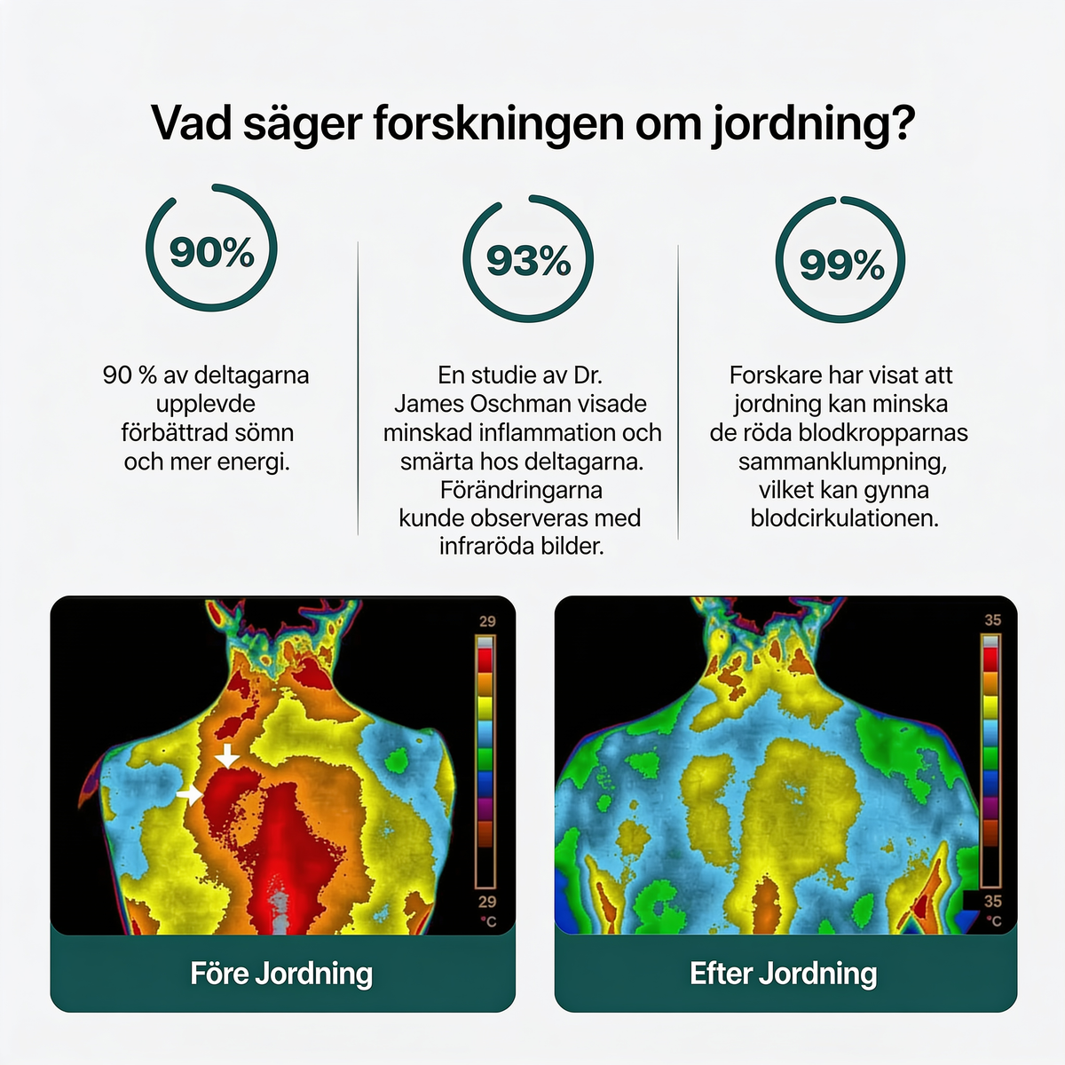 Serafino Original - Jordningslakan